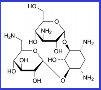 AMIKACIN EP IMPURITY D